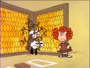 Peanuts 1. évad Ep.15 15. epizód