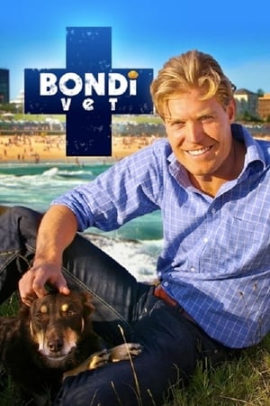 Bondi Vet poszter