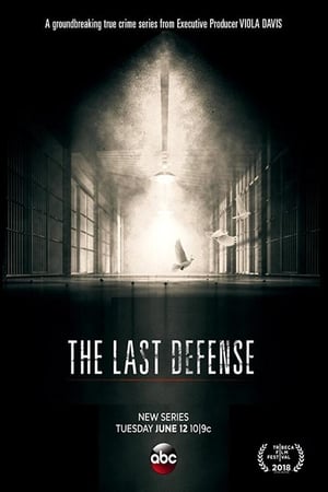 The Last Defense poszter