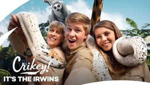 Ausztrál állatkert - Steve Irwin öröksége kép