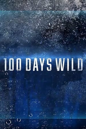 100 Days Wild poszter