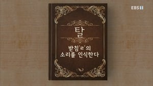 한글용사 아이야 1. évad Ep.24 24. epizód