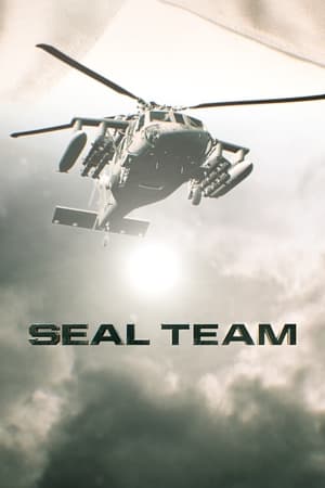 SEAL Team poszter