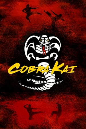 Cobra Kai poszter