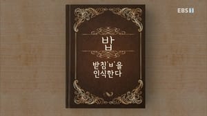 한글용사 아이야 1. évad Ep.26 26. epizód