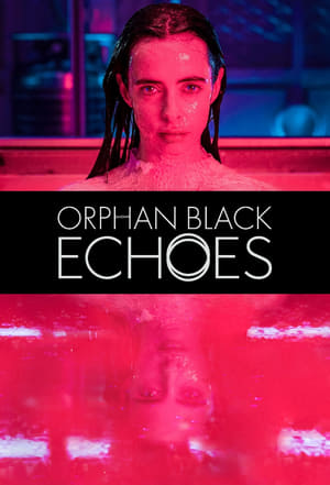 Orphan Black: Echoes poszter