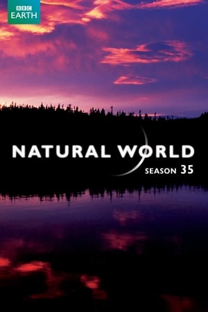 Natural World 35. évad (2015-02-24) poszter