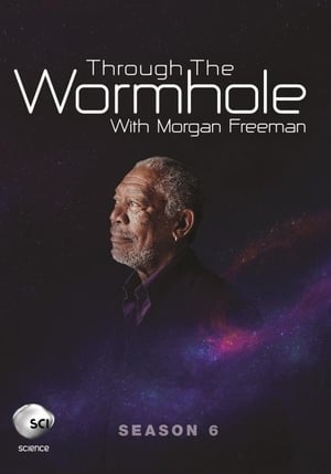 Morgan Freeman - A féreglyukon át 6. évad (2015-04-29) poszter