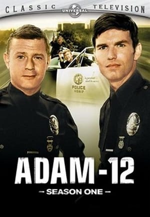 Adam-12 1. évad (1968-09-21) poszter