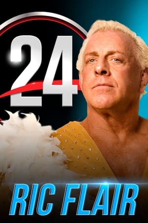 WWE 24 poszter