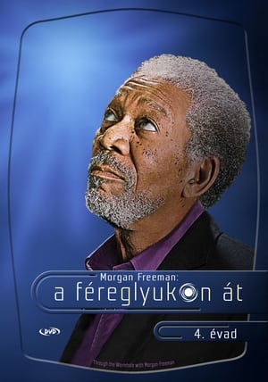 Morgan Freeman - A féreglyukon át 4. évad (2013-03-20) poszter