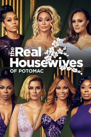 The Real Housewives of Potomac 5. évad (2020-08-02) poszter