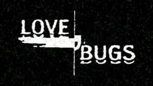 Love Bugs kép