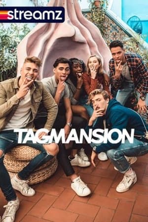 TAGMANSION poszter