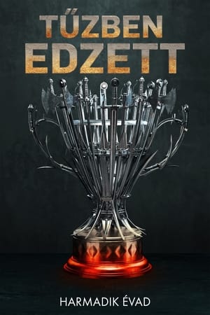 Tűzben edzett 3. évad (2016-08-23) poszter