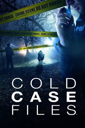 Cold Case Files 1. évad (2017-02-27) poszter