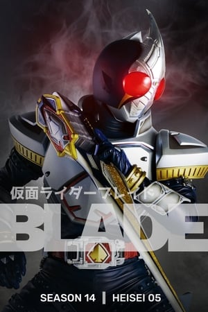 仮面ライダー 14. évad (2004-01-25) poszter