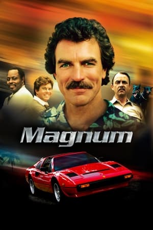 Magnum poszter