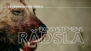 Vetenskapens värld 2021. évad Ep.6 6. epizód