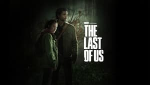 The Last of Us kép