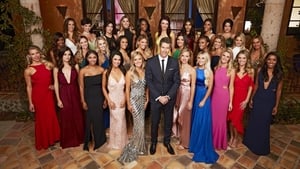 The Bachelor kép