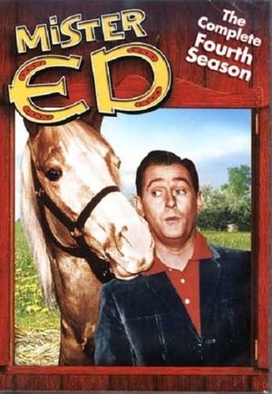 Mister Ed 4. évad (1963-09-29) poszter