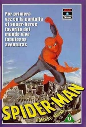 The Amazing Spider-Man poszter