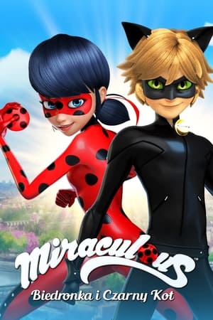 Miraculous - Katicabogár és Fekete Macska kalandjai poszter