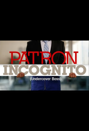 Patron incognito poszter