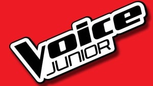 Voice Junior kép