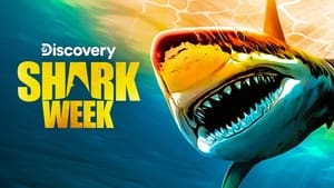 Shark Week kép