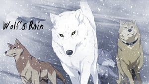 WOLF'S RAIN kép