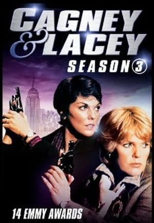 Cagney & Lacey 3. évad (1984-03-19) poszter