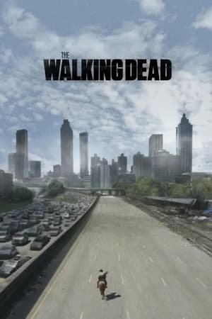 The Walking Dead poszter