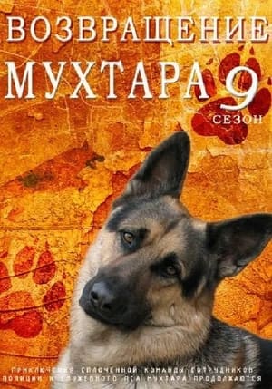 Возвращение Мухтара 9. évad (2014-02-03) poszter