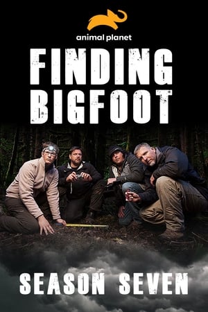 Finding Bigfoot 7. évad (2015-05-31) poszter