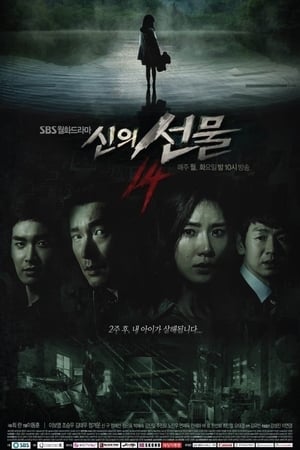 신의 선물 - 14일