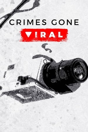 Crimes Gone Viral 1. évad (2020-09-09) poszter