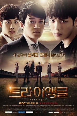 트라이앵글 1. évad (2014-05-05) poszter