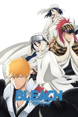 Bleach poszter