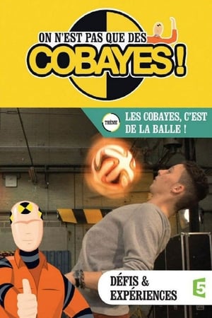 On n'est pas que des cobayes ! 1. évad (2011-10-07) poszter