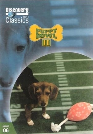 Puppy Bowl 2. évad (2006-02-05) poszter