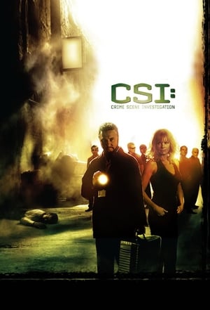 CSI: A helyszínelők poszter