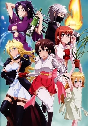 Sekirei poszter