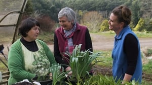 Gardening Australia 29. évad Ep.19 19. epizód