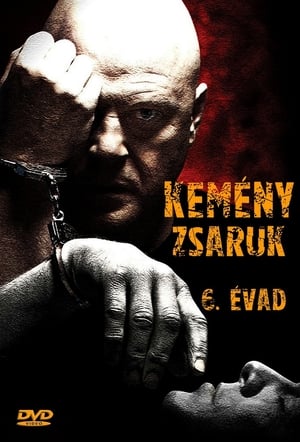 Kemény zsaruk 6. évad (2007-04-03) poszter