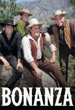 Bonanza poszter