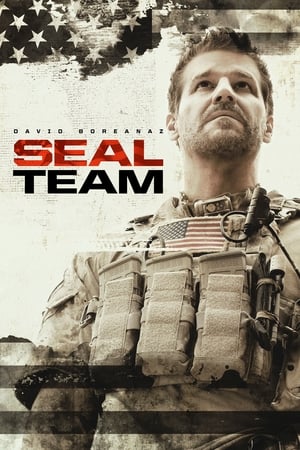 SEAL Team poszter