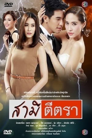 สามีตีตรา 1. évad (2014-02-19) poszter