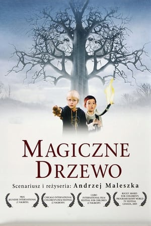 Magiczne drzewo poszter